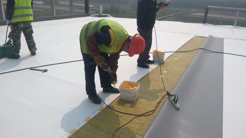 地下室防水防潮：揭秘十大品牌背后的技术秘密